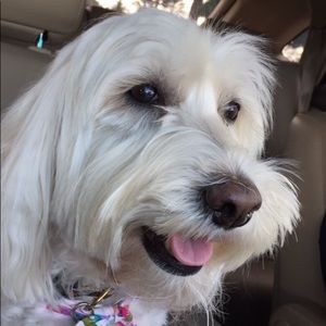 Meet your Posher, Micayla